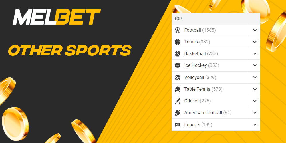 What sports Indian users can bet on on FUN88